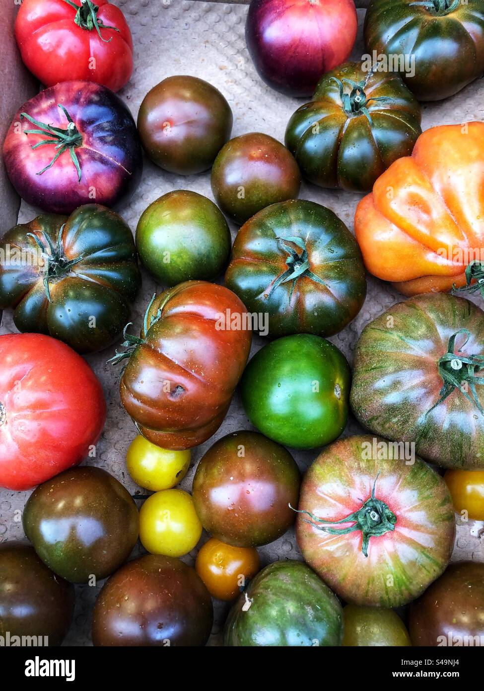 Alimentari, pomodori tradizionali assortiti di varie dimensioni, rossi, arancioni, verdi e gialli, esposti presso il supermercato - Immagine stock catturata con smartphone