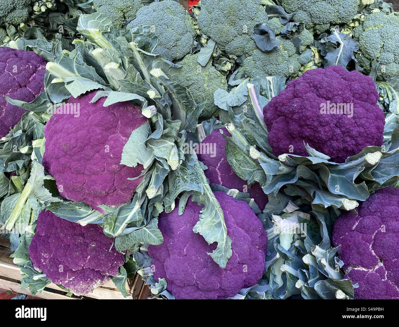 Cibo viola Foto Stock