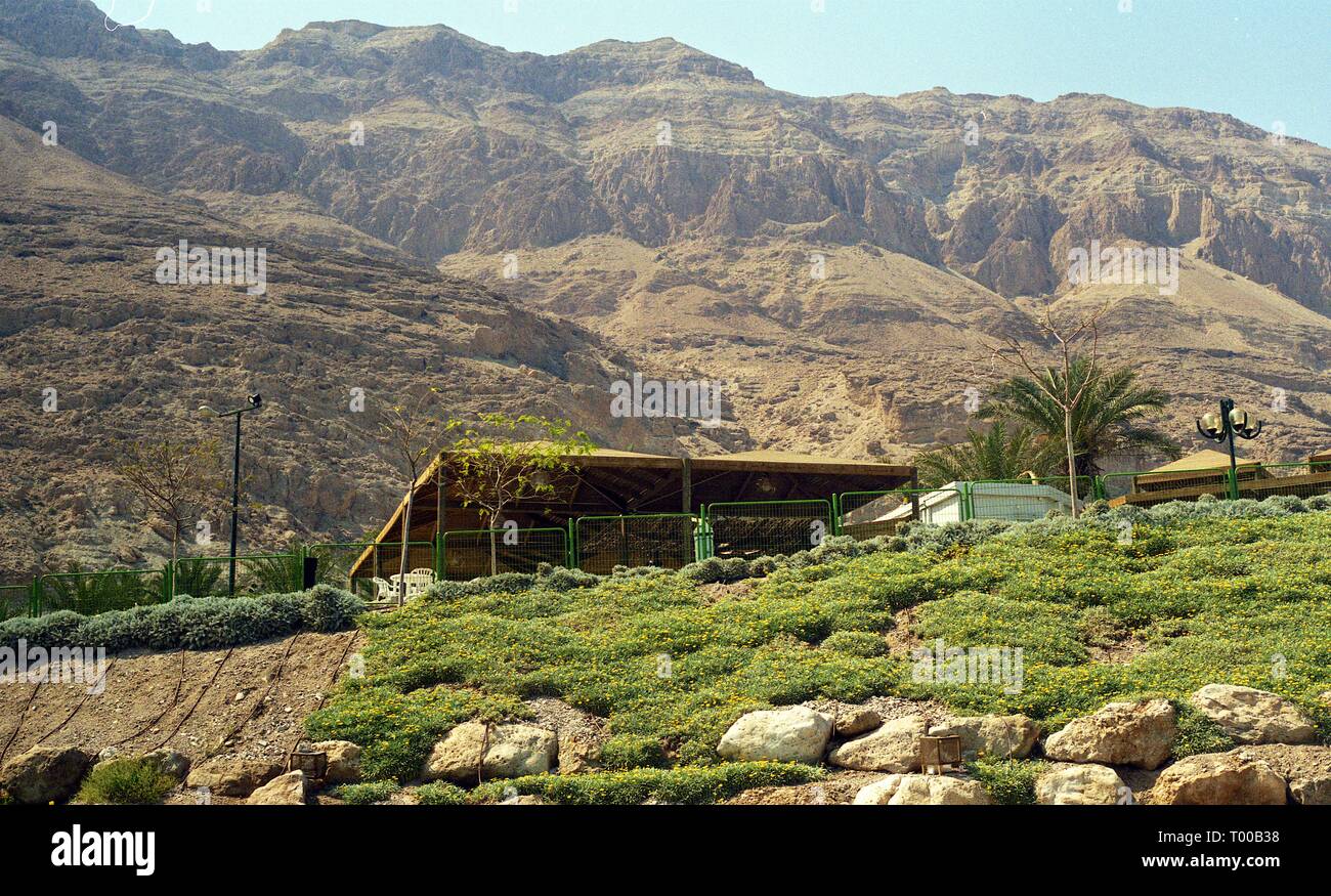 Mar Morto, Israele 1998 Foto Stock