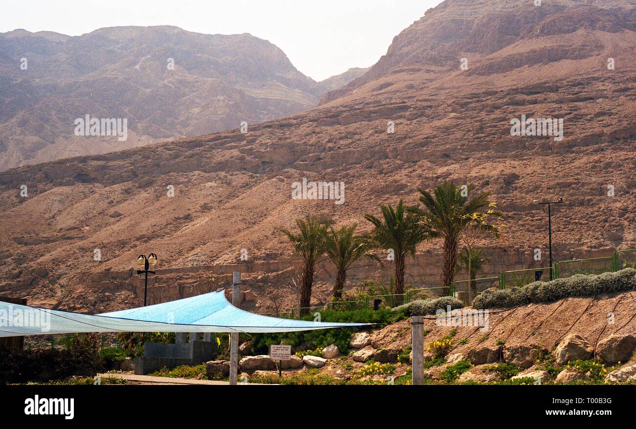 Mar Morto, Israele 1998 Foto Stock