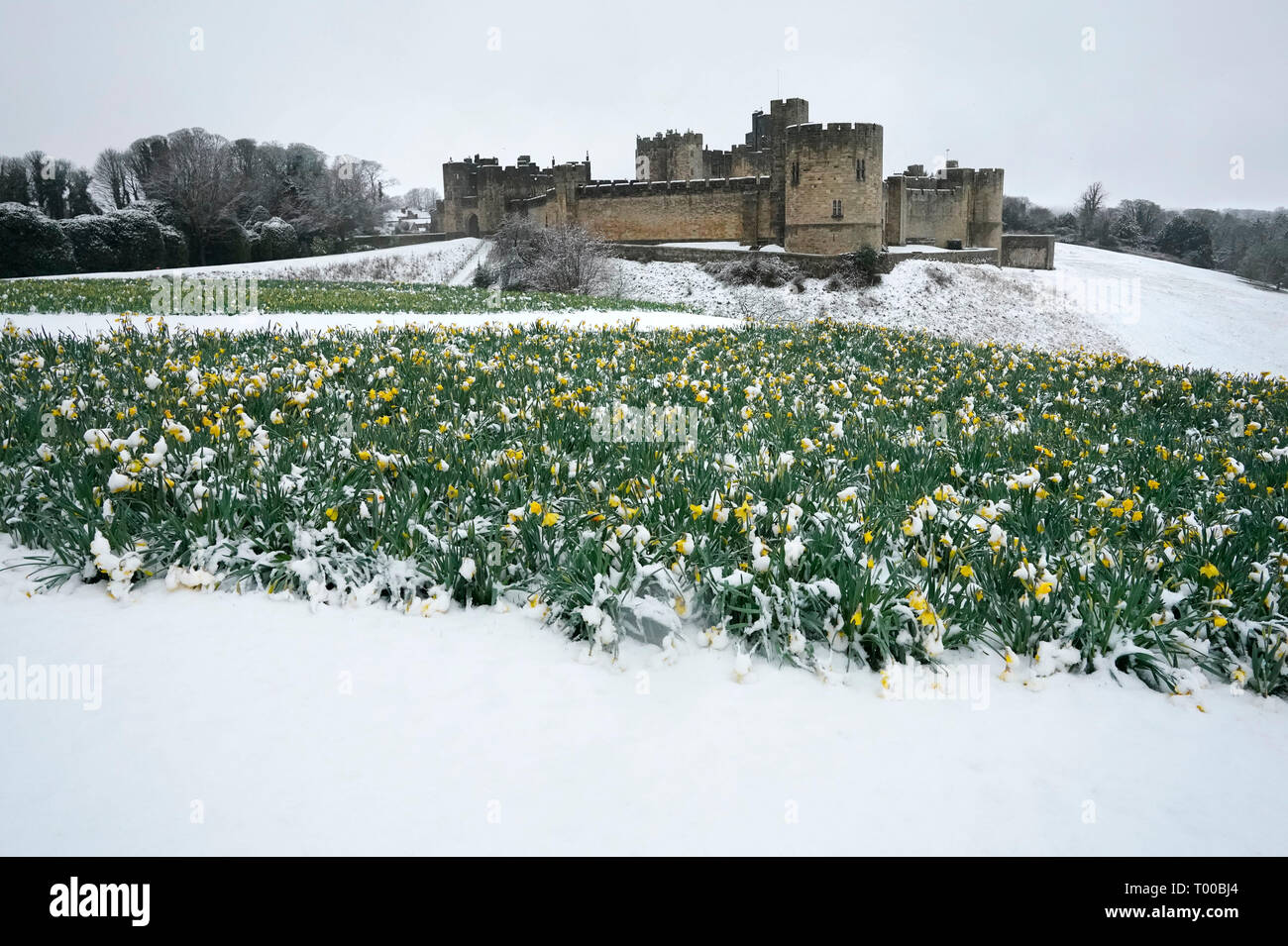 Neve a Alnwick Castle, Northumberland, Regno Unito sarà battuto da forti venti, pioggia e neve per il fine settimana come una zona di sviluppo di pressione bassa spazza il paese. Foto Stock