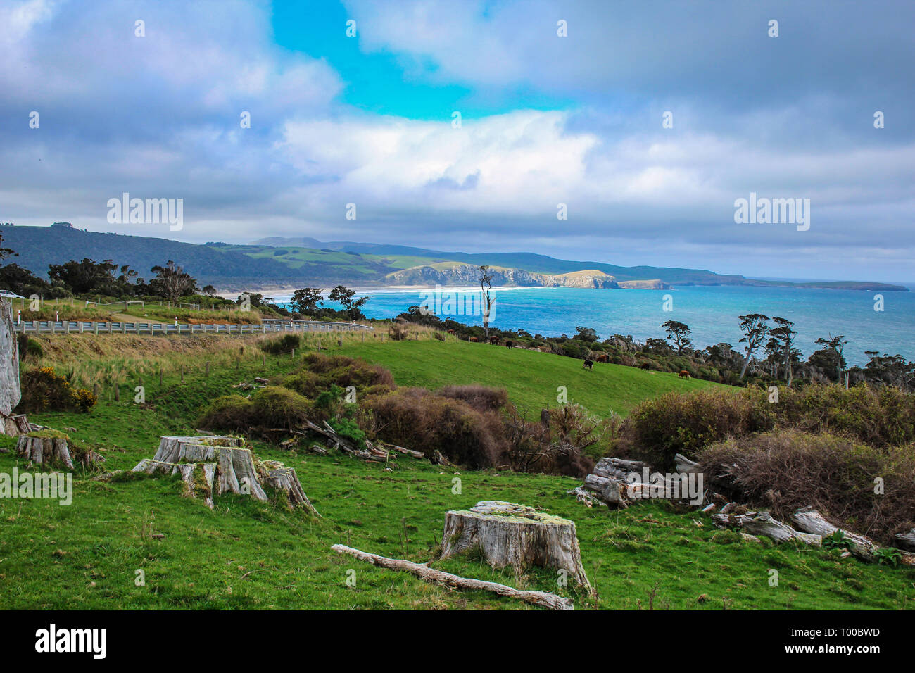 Firenze Hill Lookout all'Catlins, Isola del Sud, Nuova Zelanda Foto Stock