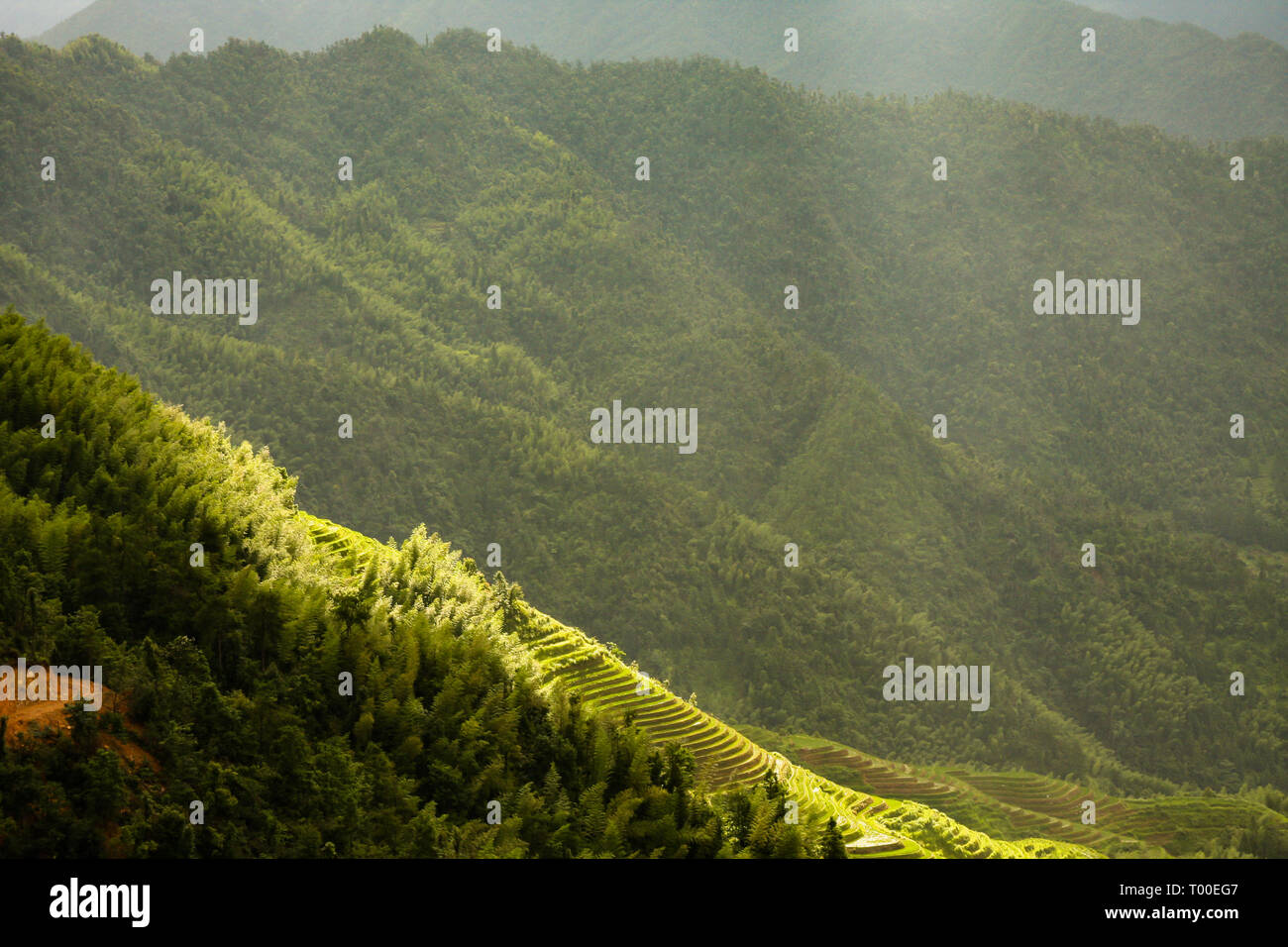 Longsheng terrazze di riso paesaggio in Cina Foto Stock