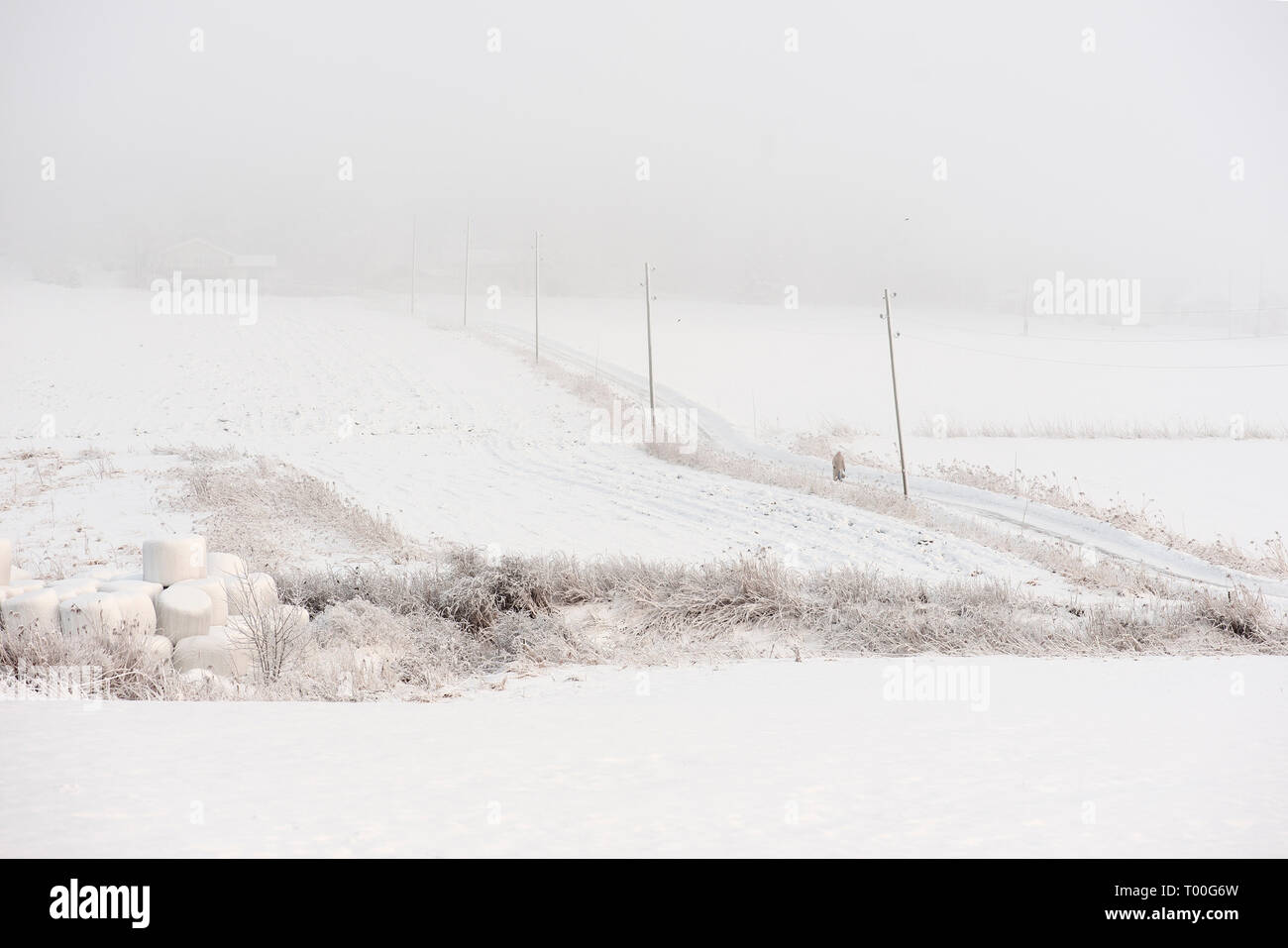 Arte (natura) in Svezia Foto Stock
