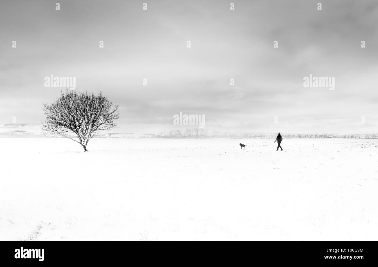 Minimalista immagine in bianco e nero di un uomo distante a piedi un cane in piatto coperto di neve paesaggio invernale con un lone tree Foto Stock