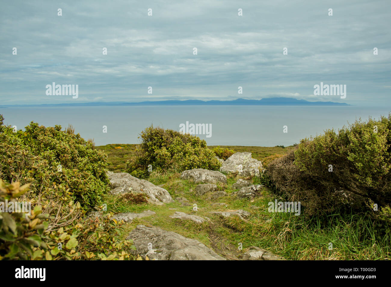 Sull'oceano da Bluff Hill Lookout, punto più meridionale in Nuova Zelanda Foto Stock