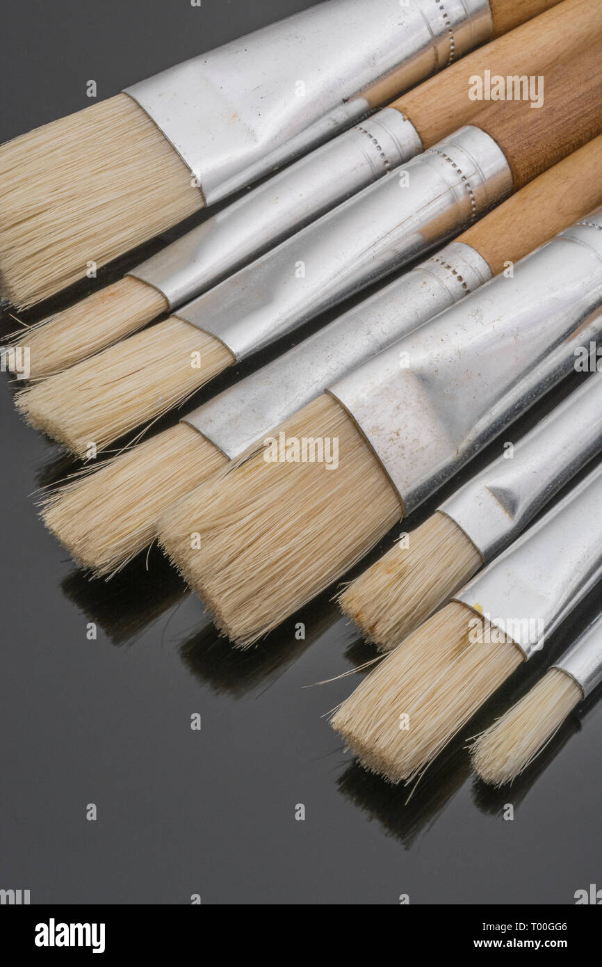 Macro primo piano di un pacchetto di pennelli/pennelli per pittura di  artisti con setole naturali pulite su uno sfondo scuro riflettente Foto  stock - Alamy