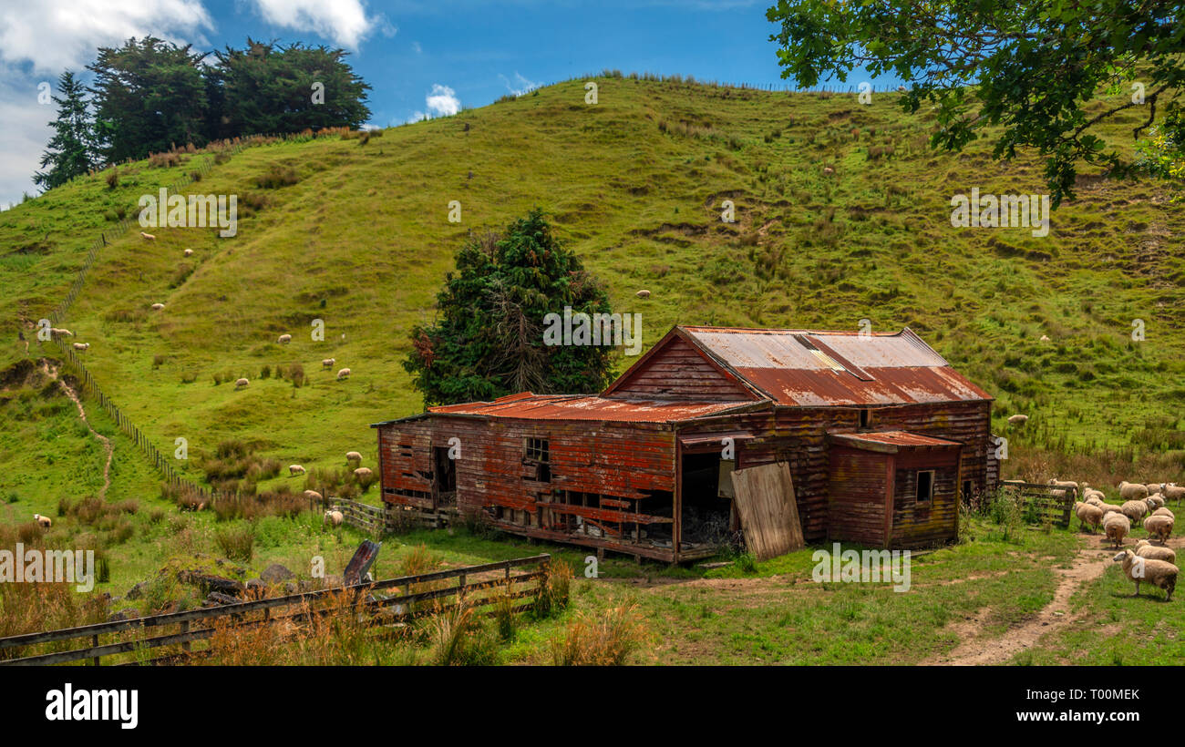 Il Lichen coperto e dimora abbandonata, ora utilizzato per gli ovini e i magazzini agricoli. Hunterville, Isola del nord, Nuova Zelanda. Foto Stock