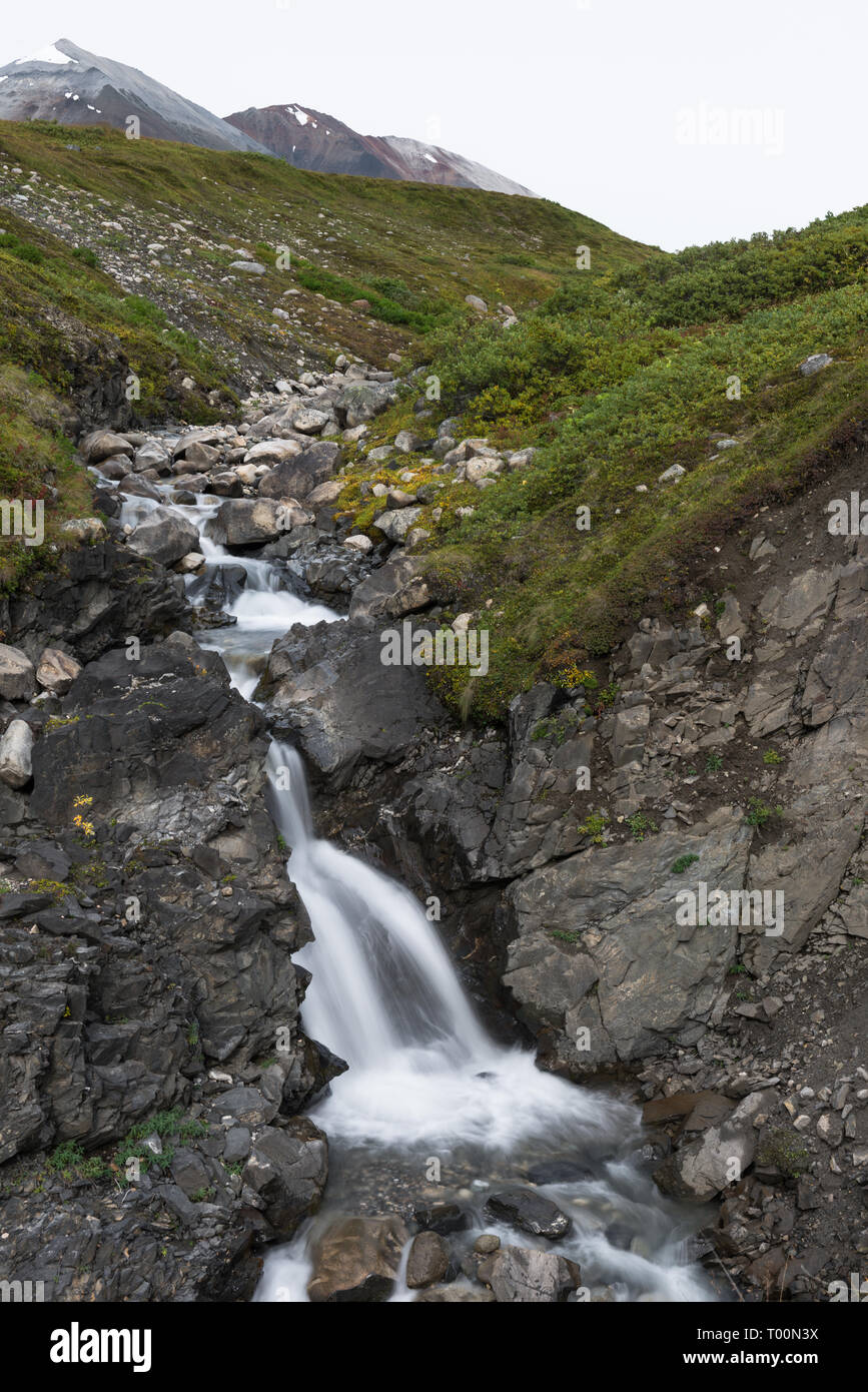 Flusso che scorre nei pressi di Samuel ghiacciaio, Chuck Creek, Haines Road, Northern British Columbia, Canada Foto Stock