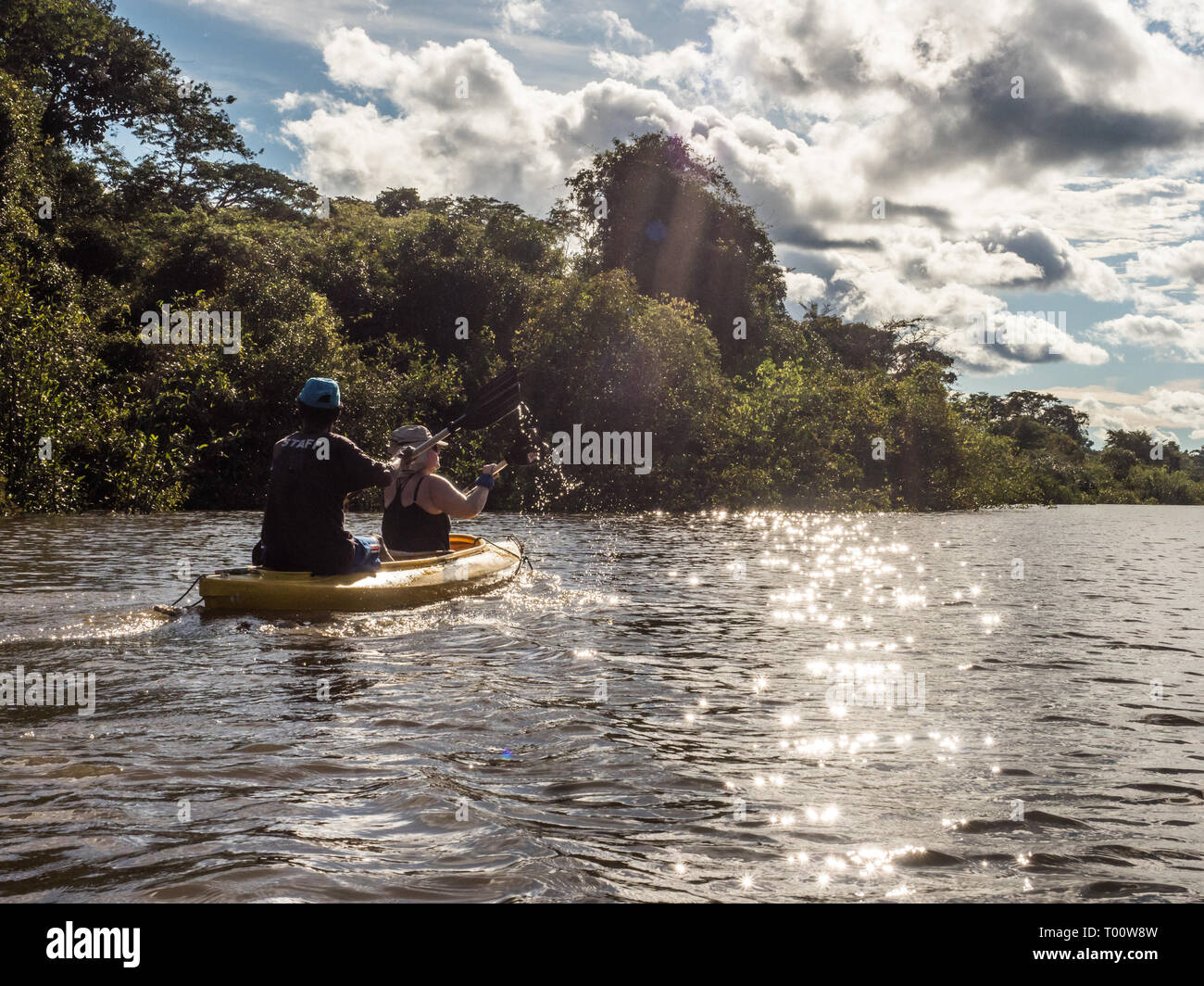 Vista di kayakers e Coati laguna vicino il fiume Javari, tributario del fiume Rio delle Amazzoni, Amazonia. Selva sul confine del Brasile e Perù. Sud Am Foto Stock