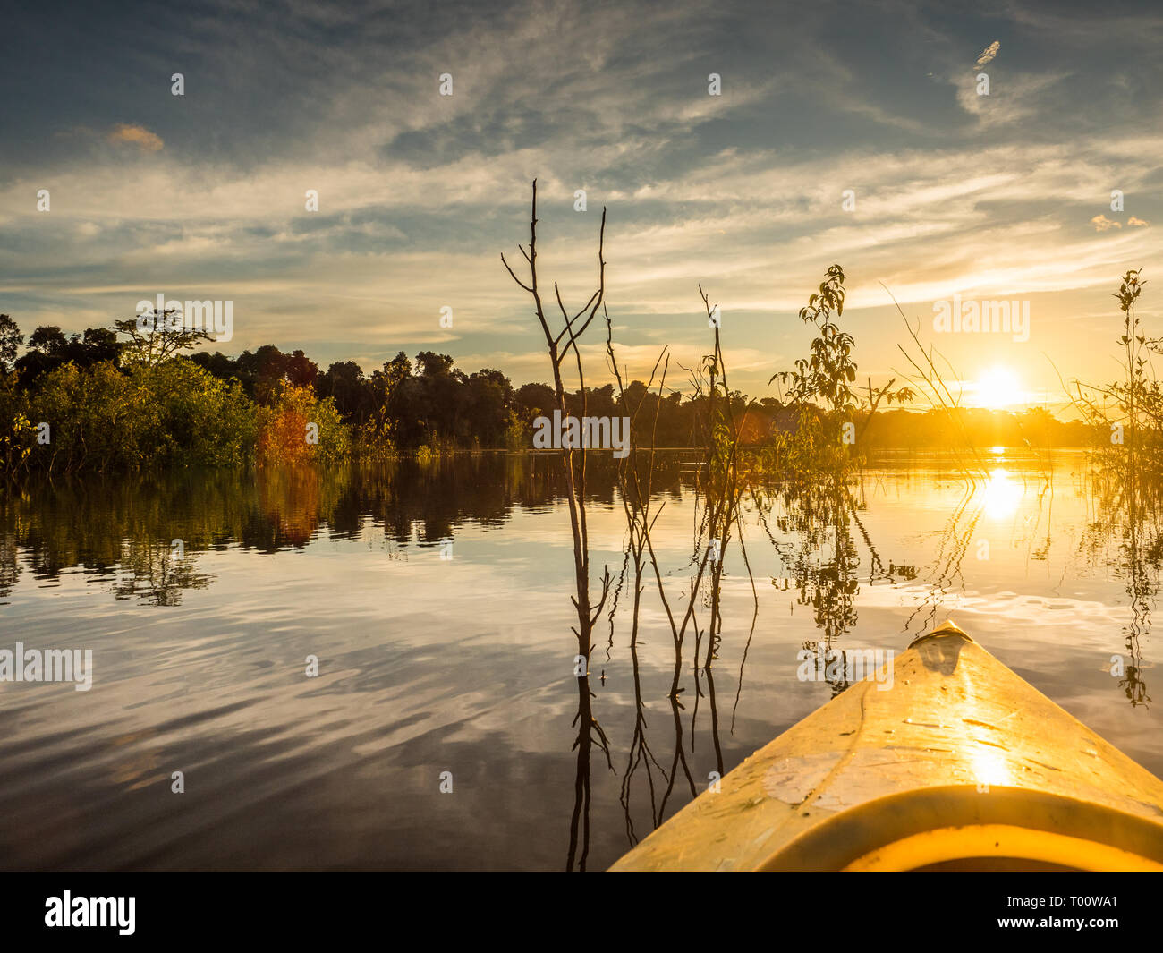 Amazonia. Vista tramonto visto dal kayak. Coati laguna vicino il fiume Javari, tributario del fiume Rio delle Amazzoni. Selva sul confine del Brasile e pe Foto Stock