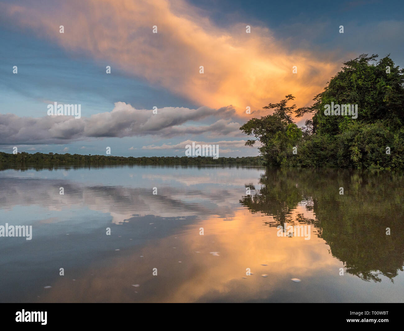 Vista al tramonto del Coati laguna vicino il fiume Javari, tributario del fiume Rio delle Amazzoni, Amazonia. Selva sul confine del Brasile e Perù. Sud America. Foto Stock