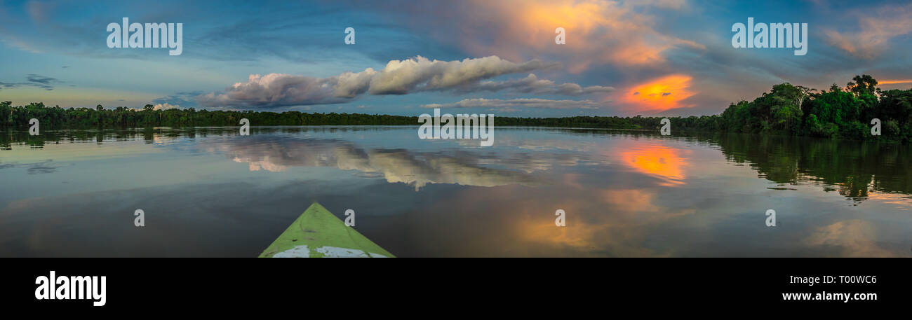 Amazonia. Panoramica, vista tramonto visto dal kayak. Coati laguna vicino il fiume Javari, tributario del fiume Rio delle Amazzoni. Selva sul confine di Br Foto Stock