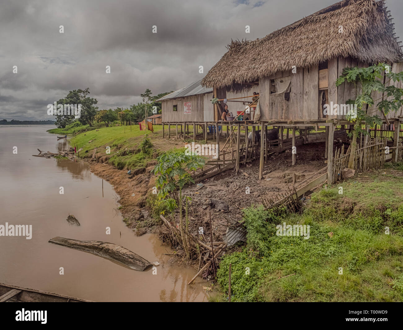 Fiume del Amazon, Perù - dicembre 04 , 2018: vista del villaggio sulla riva del Fiume Rio delle Amazzoni. Sud America. Foto Stock