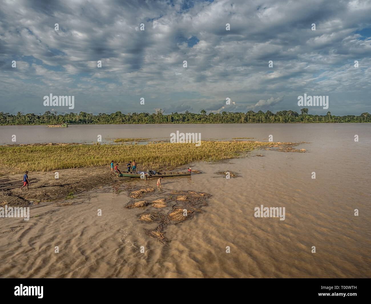 Fiume del Amazon, Perù - dicembre 04 , 2018: durante la bassa stagione di  acqua, la coltivazione di riso vengono visualizzate nella parte centrale  del Fiume Rio delle Amazzoni. America del Sud Foto stock - Alamy