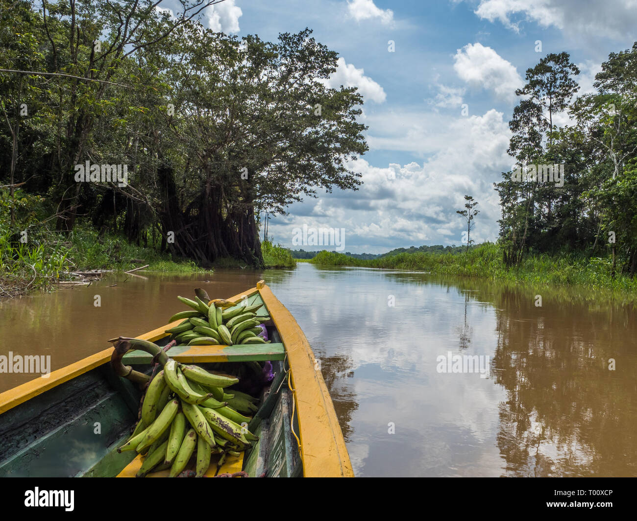 Paumari, Brasile- Novembre 25, 2018: Tradizionale, barca indiano e bella vista con la riflessione nella laguna di giungla amazzonica. America Latina Foto Stock