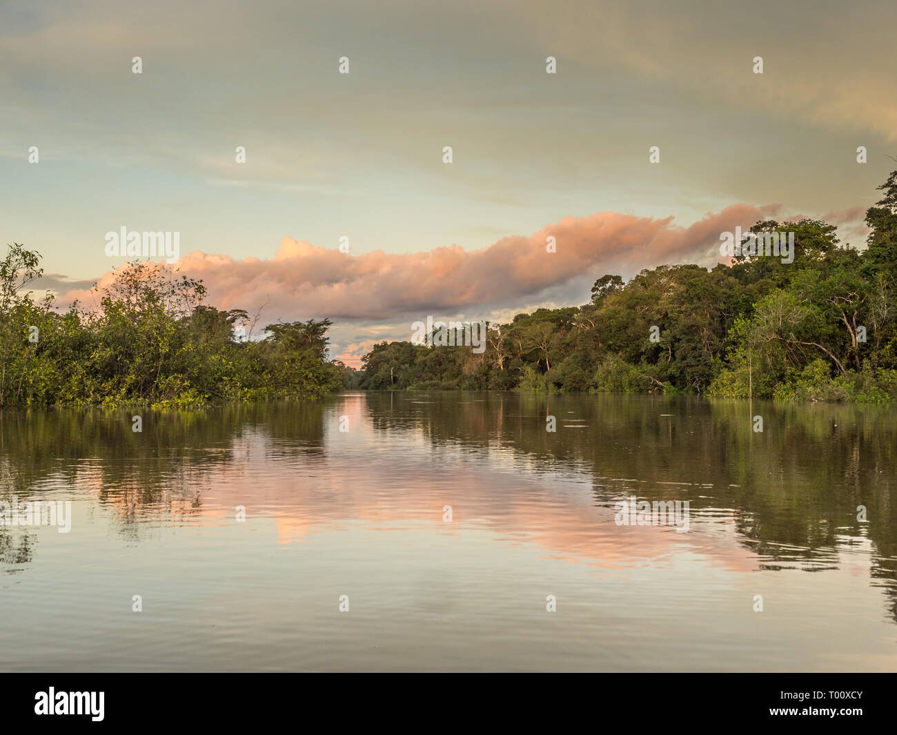Vista al tramonto del Coati laguna vicino il fiume Javari, tributario del fiume Rio delle Amazzoni, Amazonia. Selva sul confine del Brasile e Perù. Sud America. Foto Stock