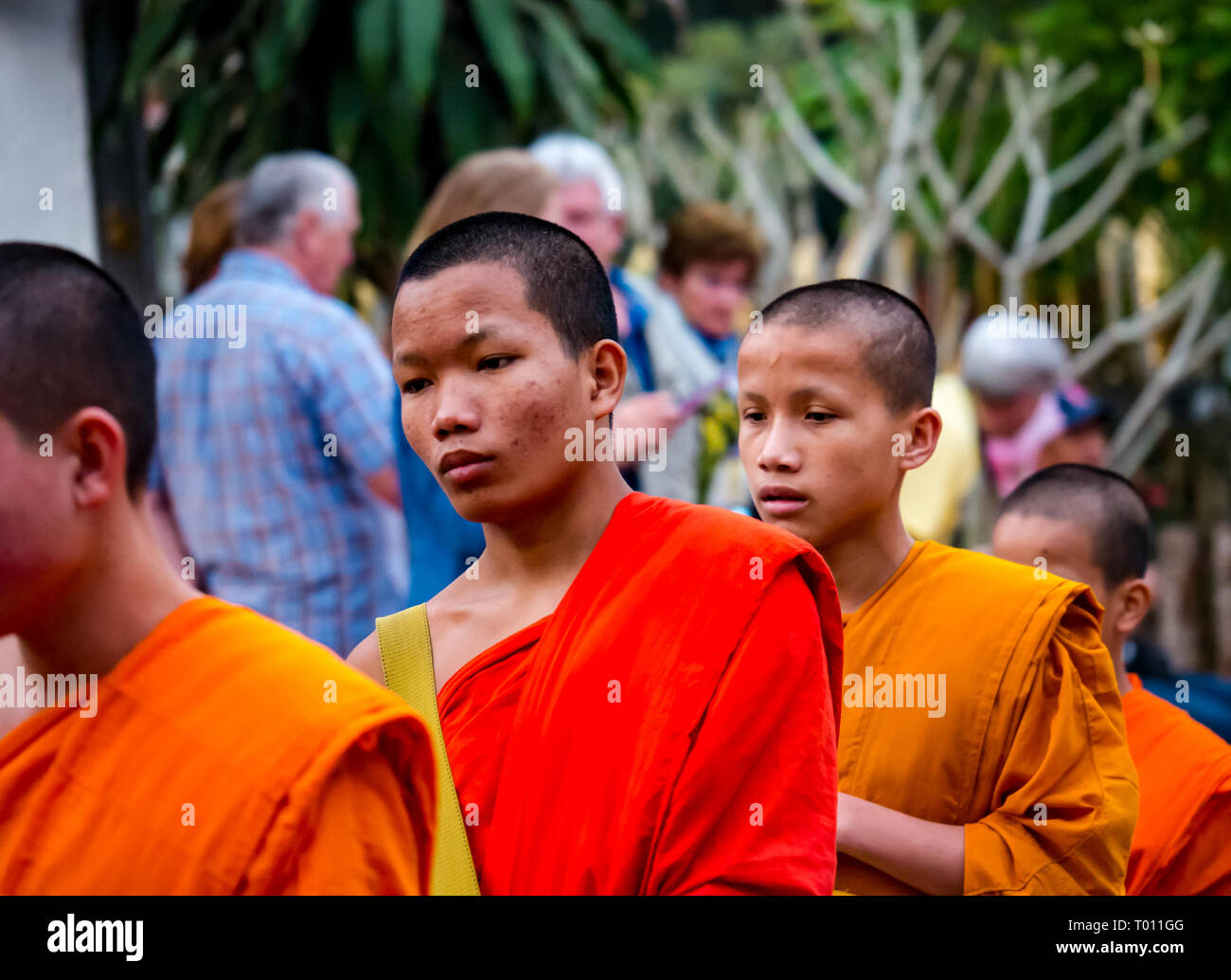 I monaci buddisti in arancione vesti coda per mattina alms dando cerimonia, Luang Prabang, Laos Foto Stock