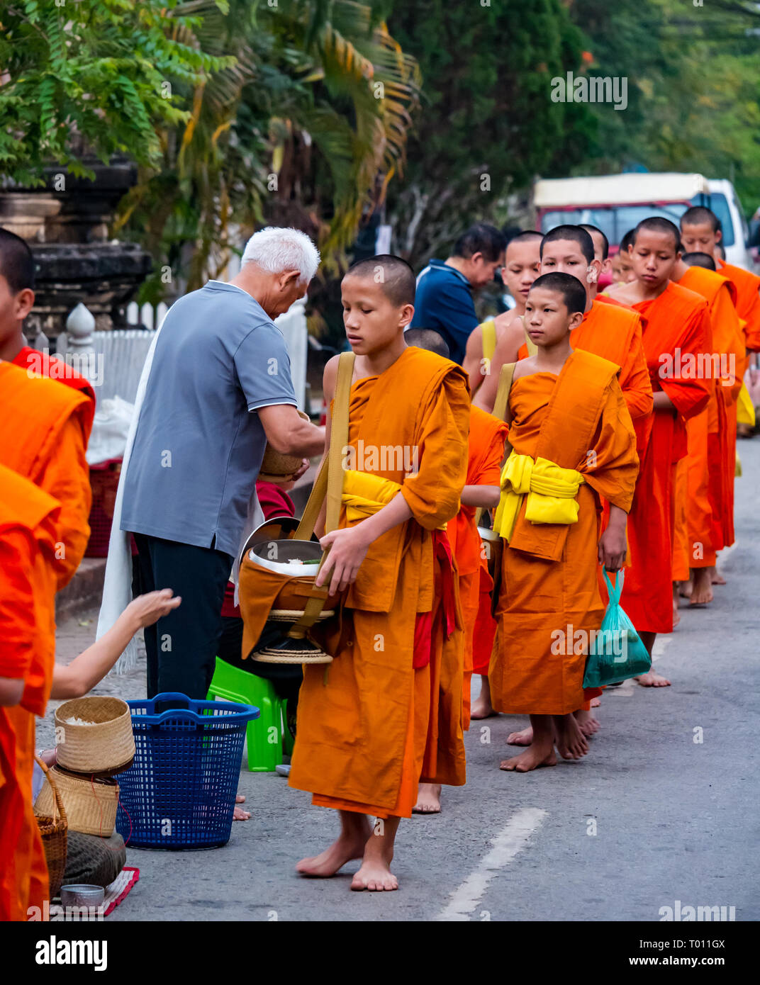 I monaci buddisti in arancione vesti coda per mattina alms dando cerimonia, Luang Prabang, Laos Foto Stock