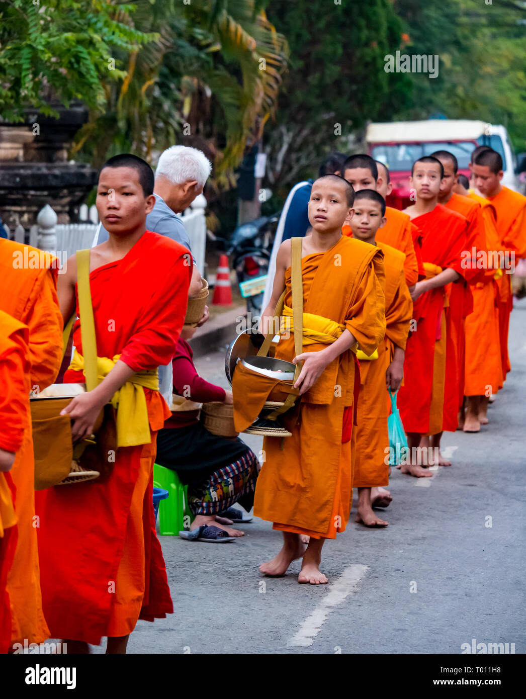 I monaci buddisti in arancione vesti coda per mattina alms dando cerimonia, Luang Prabang, Laos Foto Stock