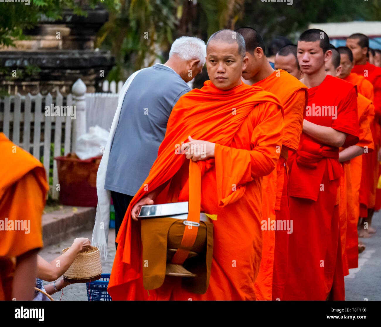 I monaci buddisti in arancione vesti coda per mattina alms dando cerimonia, Luang Prabang, Laos Foto Stock