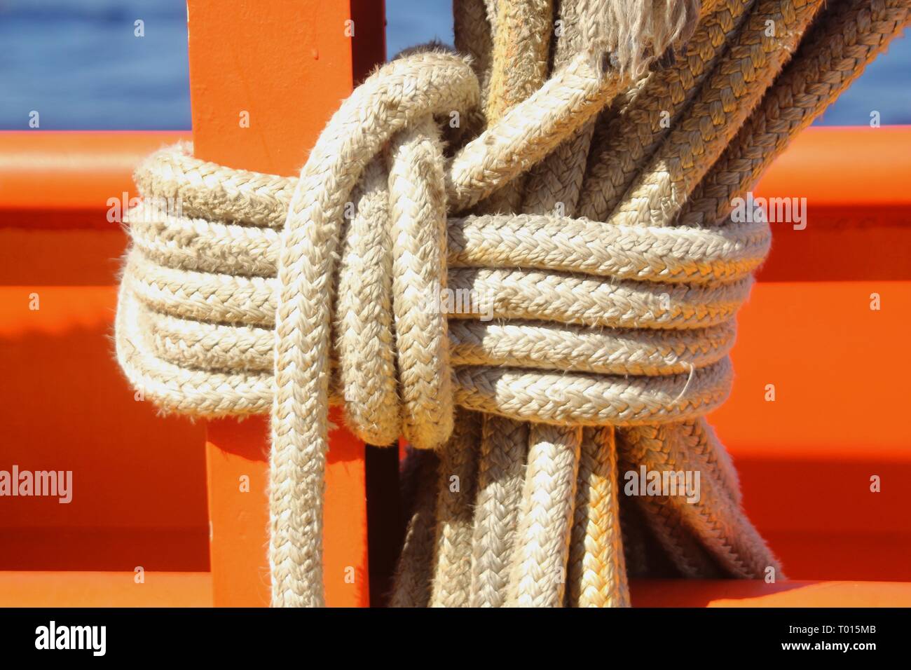 Robuste funi bianche legate in un nodo stretto sicuro contro un palo di legno Foto Stock