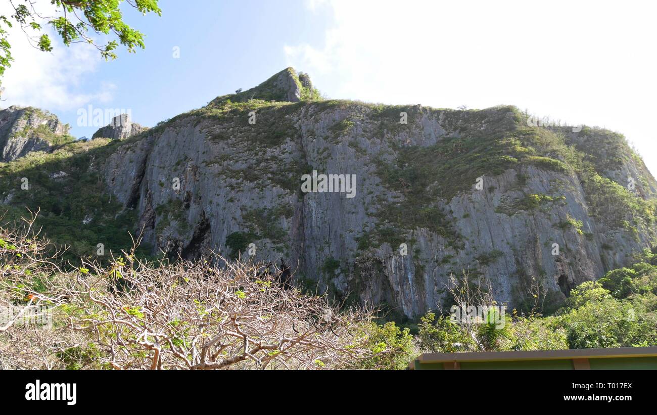 Suicidio Cliff, Marpi, Saipan. Questo è il luogo dove migliaia di soldati giapponesi e dei civili è balzata al loro morti durante la seconda guerra mondiale 11. Foto Stock