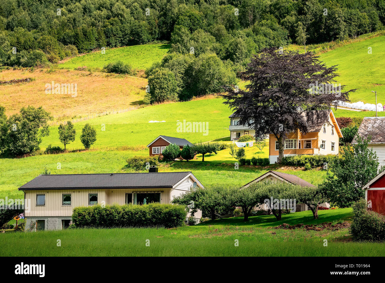 Villaggio norvegese paesaggio, montagne e colorate case tradizionali in Olden, Norvegia Foto Stock