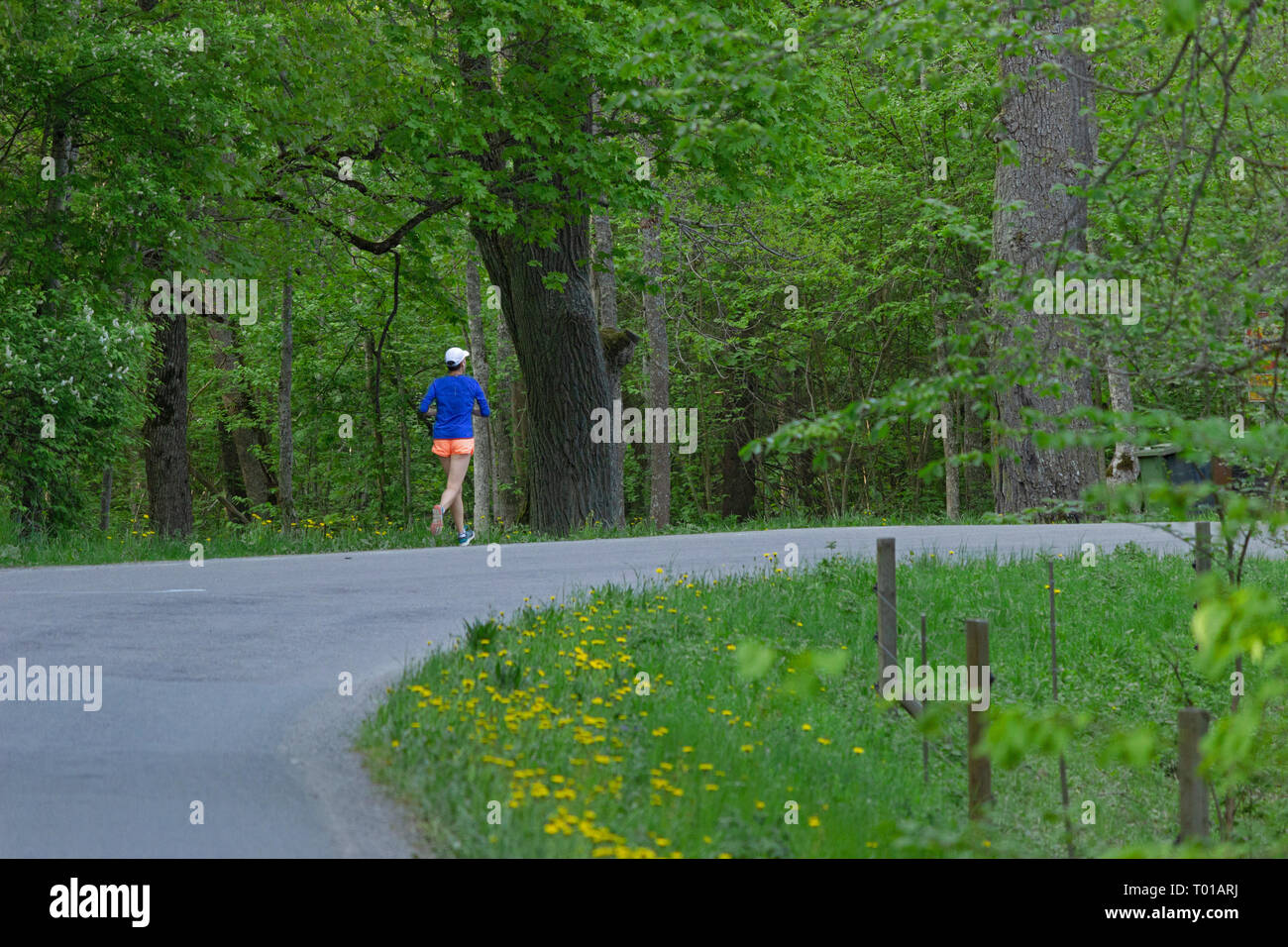 Una donna che indossa ordina è fare jogging. Knivsta, Svezia Foto Stock