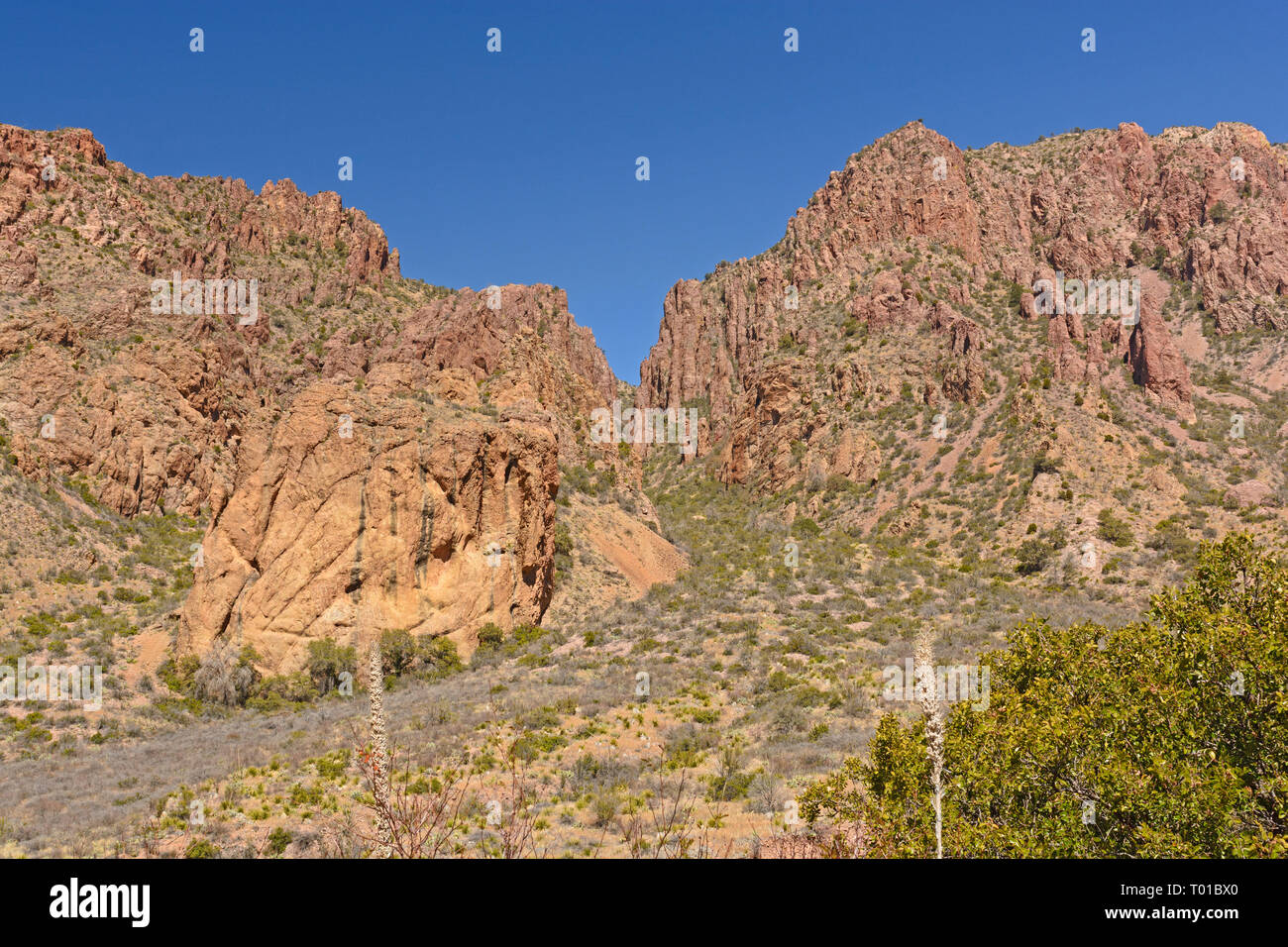 Picchi drammatici nel deserto nel Chisos montagne del Parco nazionale di Big Bend in Texas Foto Stock