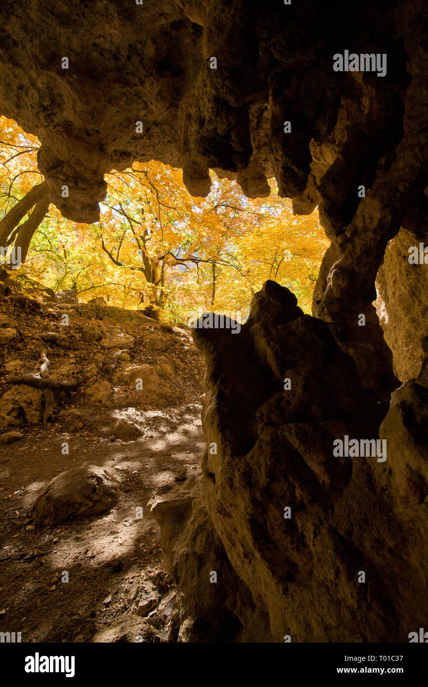 Guadalupe Mountains NP, Culberson County, Texas, Stati Uniti d'America Foto Stock