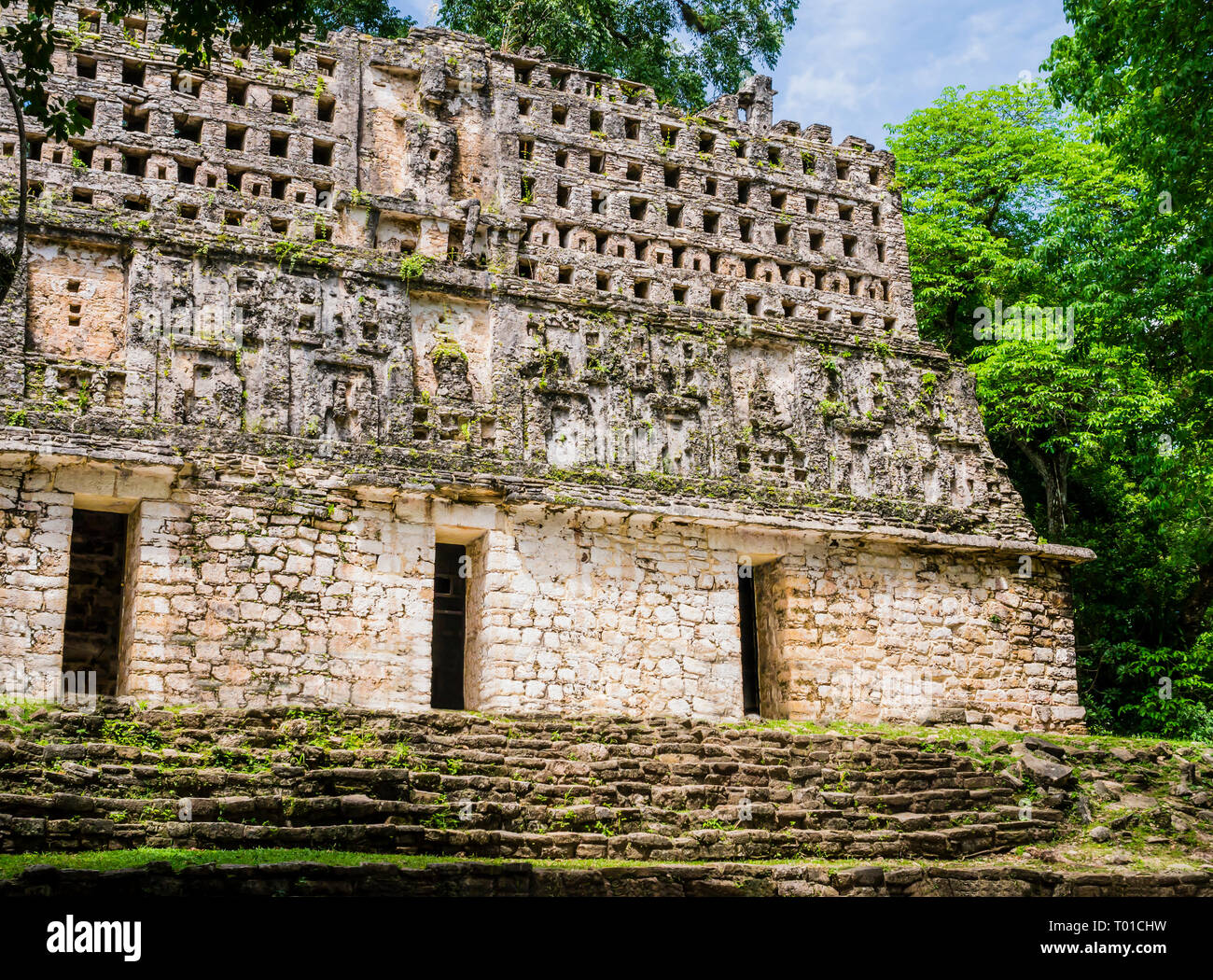 Splendida vista del re nel palazzo di Yaxchilan antiche rovine Maya, Chiapas, Messico Foto Stock