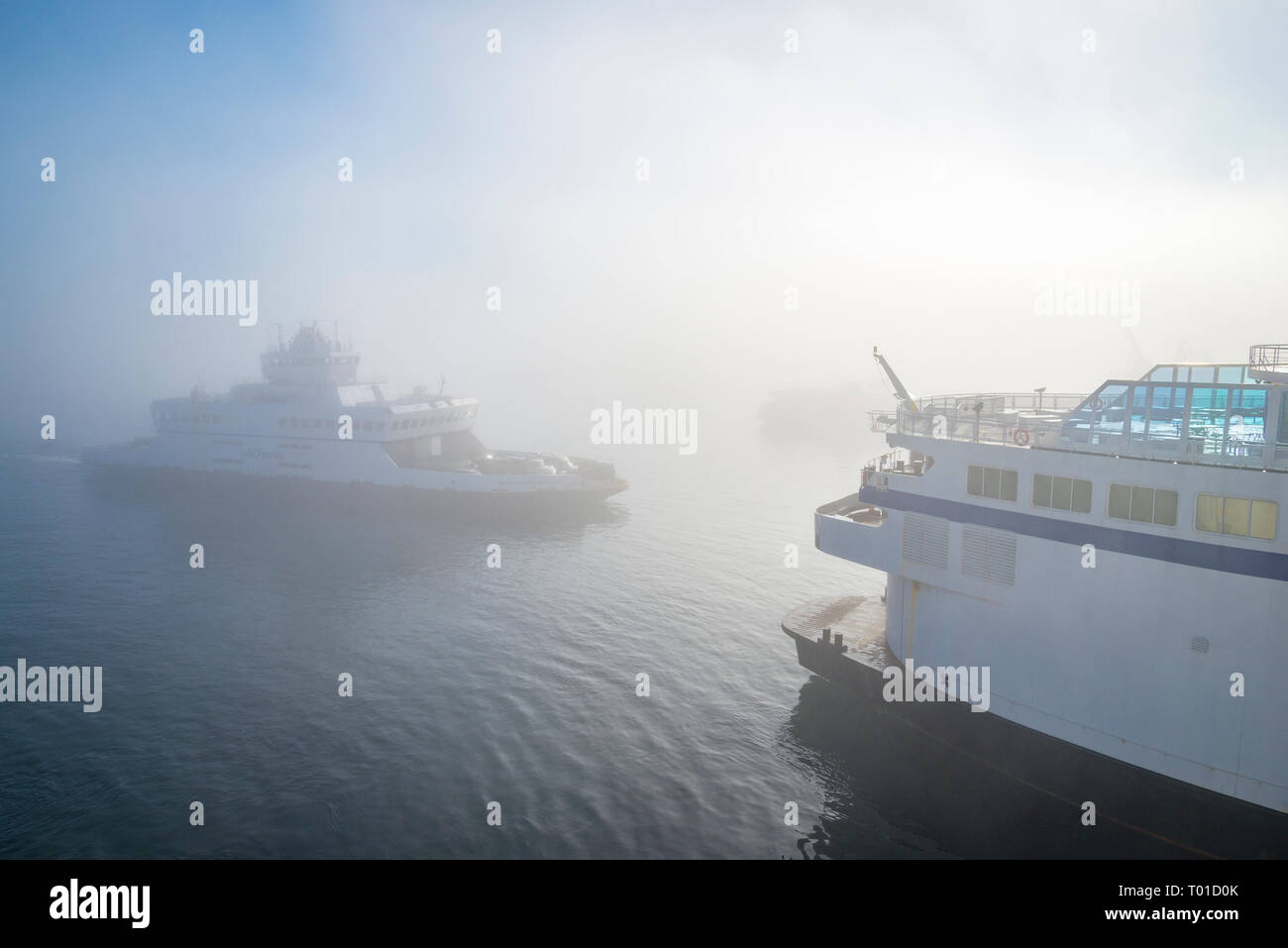 A. C. Traghetti nella nebbia, Schwartz Bay, l'isola di Vancouver, British Columbia, Canada Foto Stock