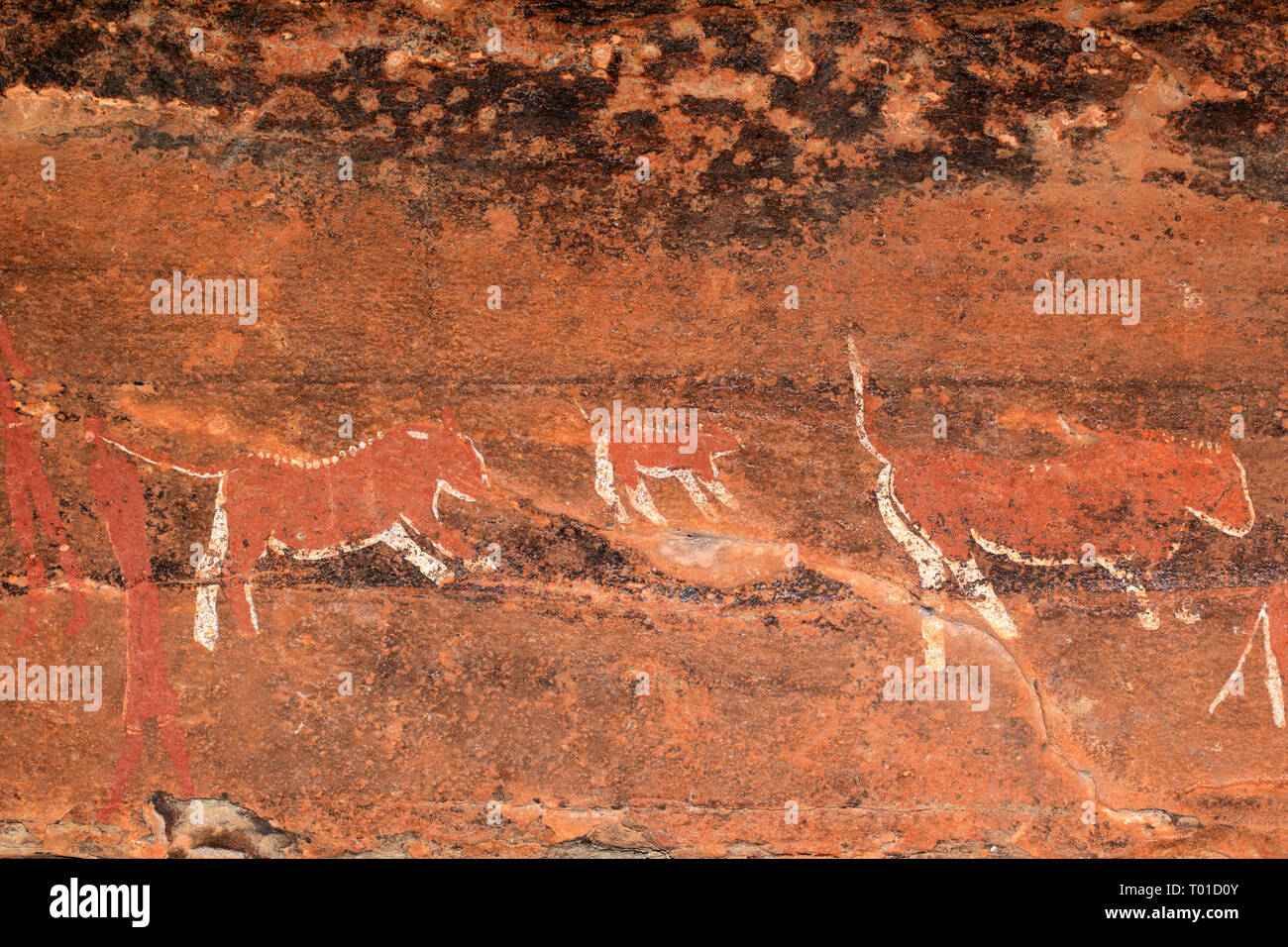 I Boscimani (SAN) le pitture rupestri della fauna africana e figure umane, Drakensberg mountains, Sud Africa Foto Stock