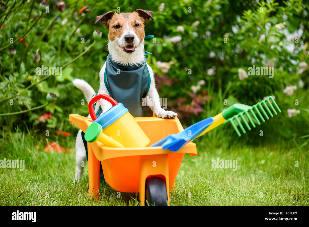 Cane come un contadino al giardino come concetto umoristico di orticoltura Foto Stock