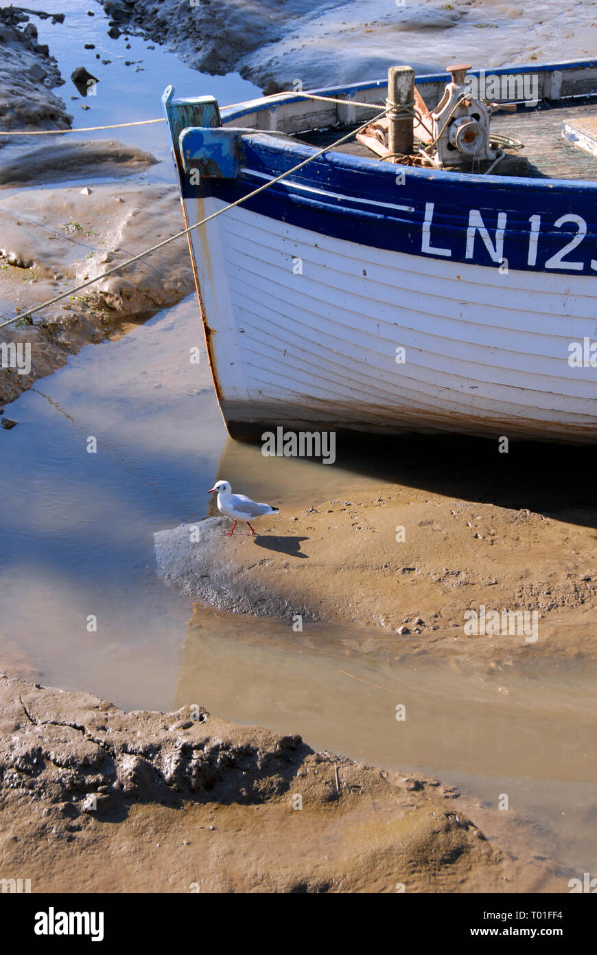 Prua di una piccola barca da pesca spiaggiata a bassa marea, Brancaster Staithe, Norfolk, Inghilterra Foto Stock