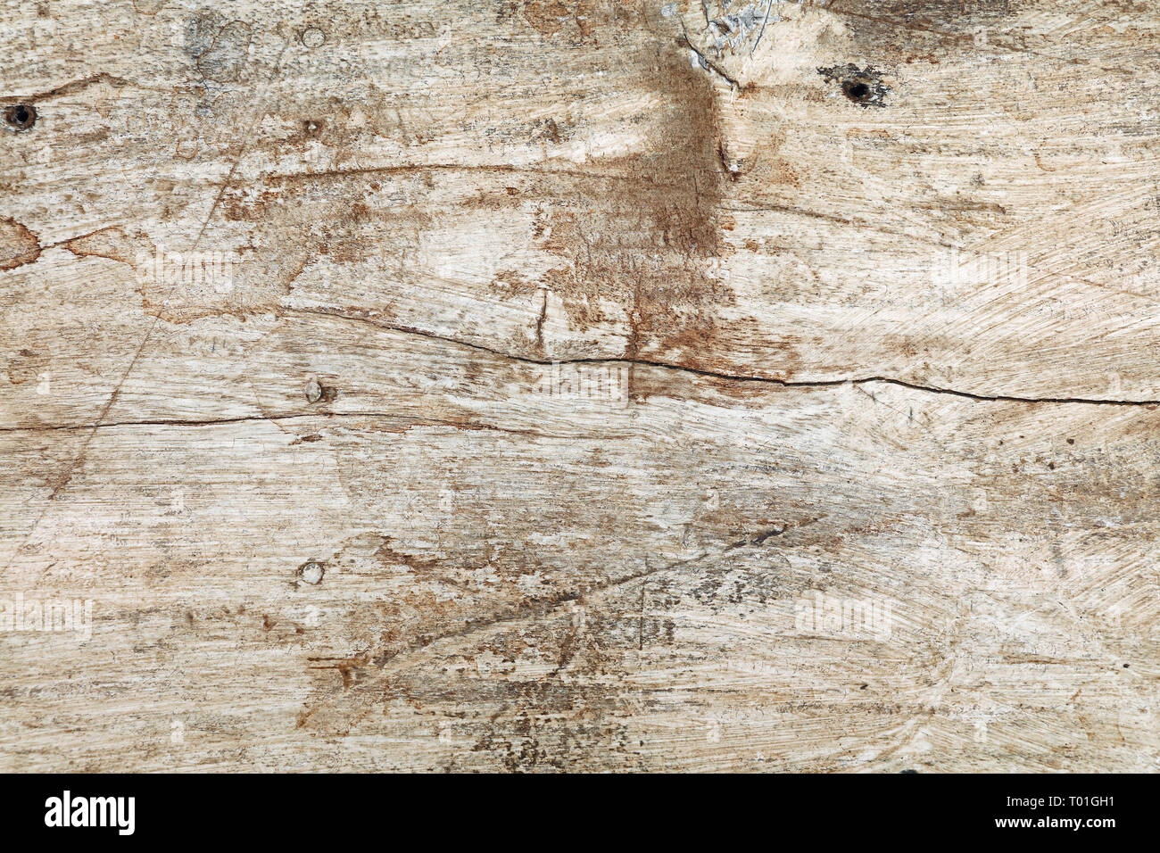 Grunge texture di sfondo bianco di legno verniciato con colore marrone scuro e nero le macchie di sporco e graffi e crepe Foto Stock