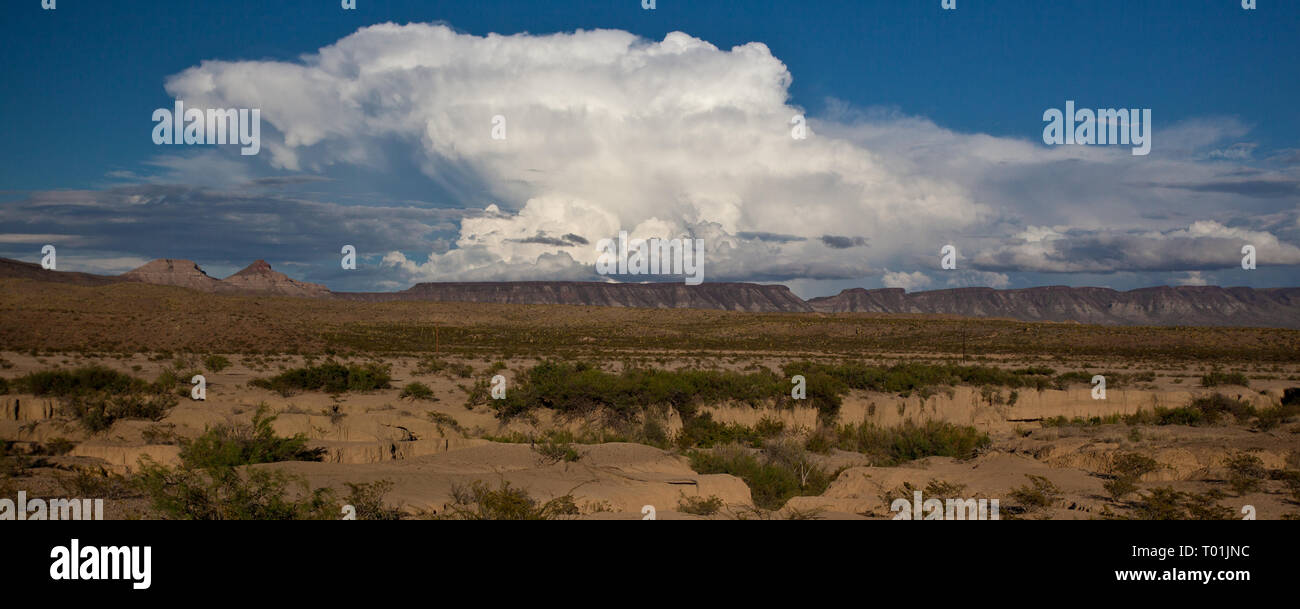 Chispa Road, Presidio County, Texas, Stati Uniti d'America Foto Stock