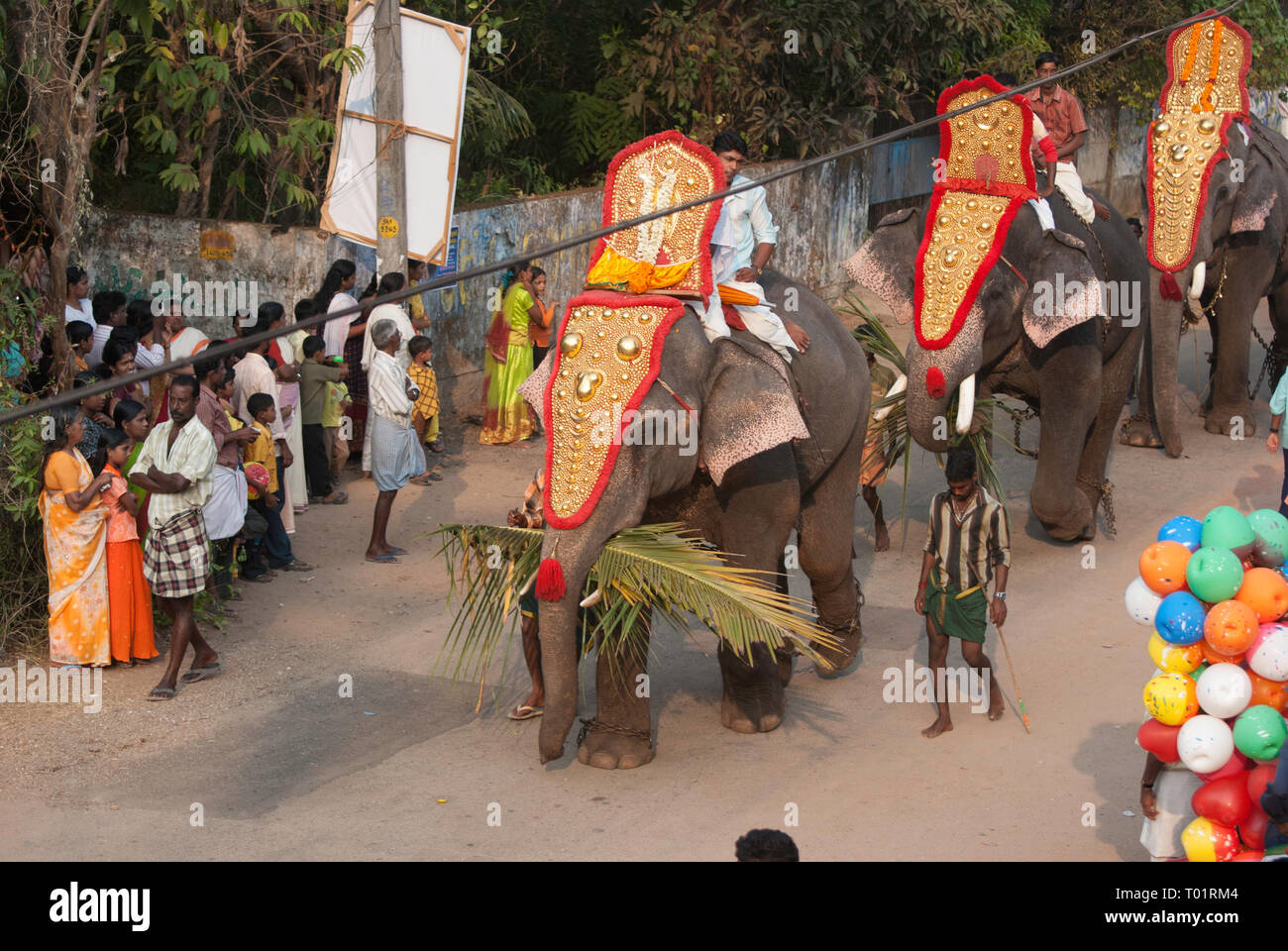 Festival di elefante in Kerala, India. Foto Stock