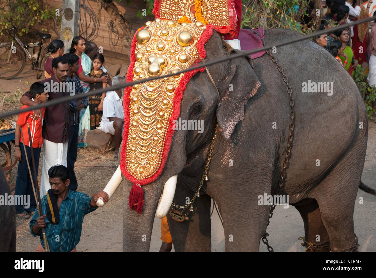 Festival di elefante in Kerala, India. Foto Stock