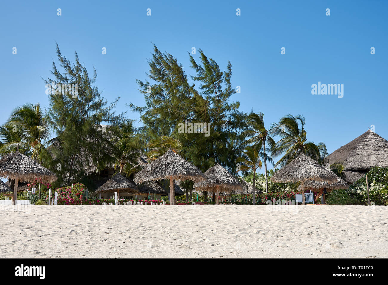 Vacanze in Kenya. Costa con spiaggia sul mare nella zona di Watamu in Africa. Foto Stock