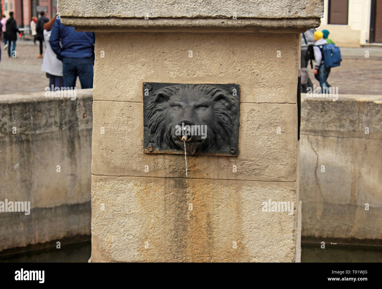 Fontana a forma di testa di leone di Lviv, Ucraina Foto Stock