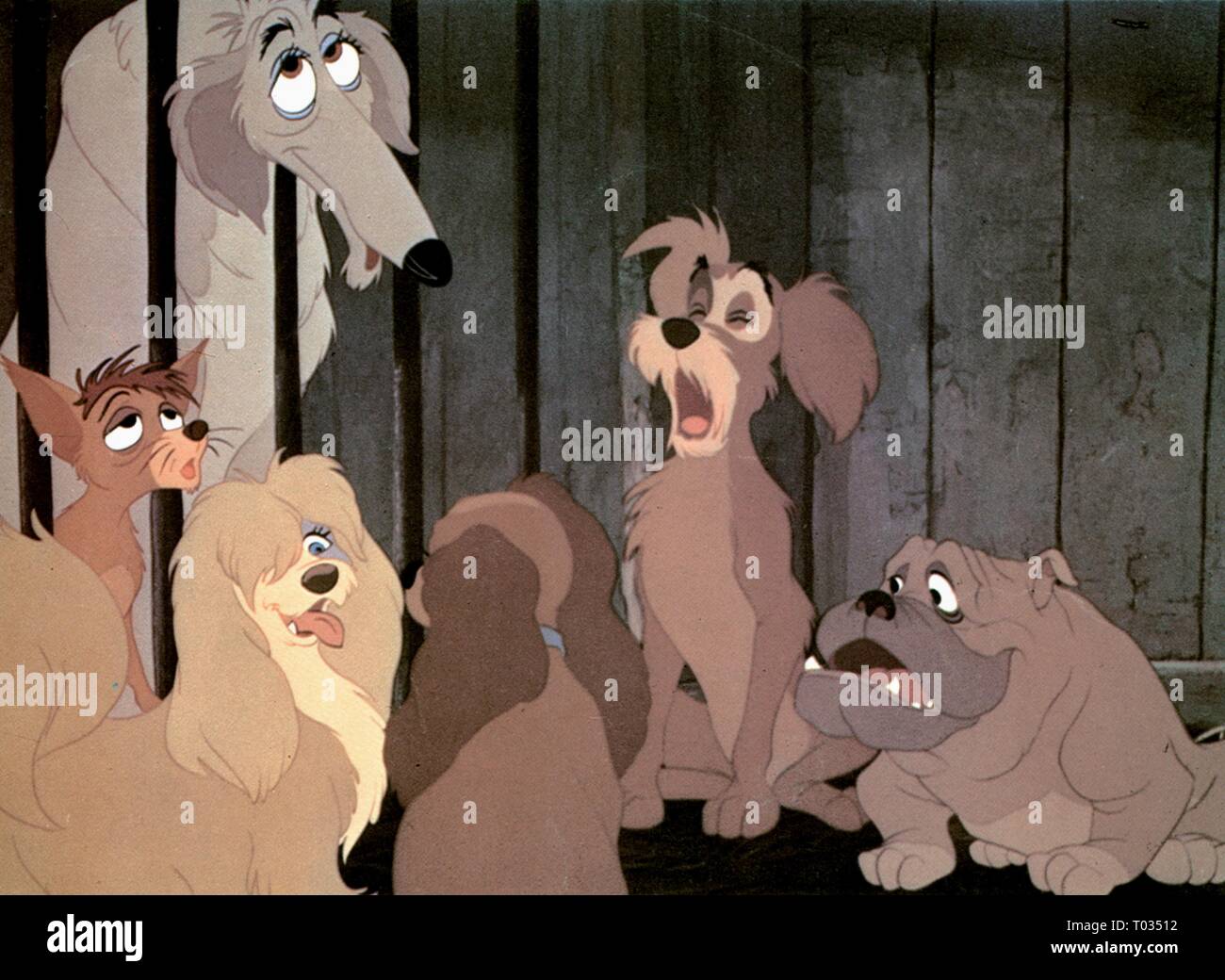 La signora e il vagabondo, Lady, PEG, Pedro, BORIS, TOUGHY , BULL, 1955 Foto Stock