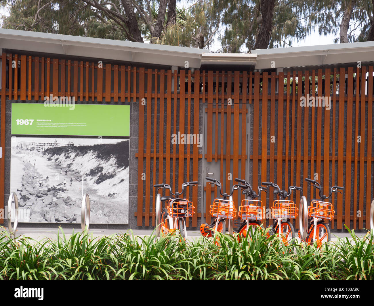 Orange Bicyckes in una bici a stare di fronte ad un edificio sulla Gold Coast Foto Stock