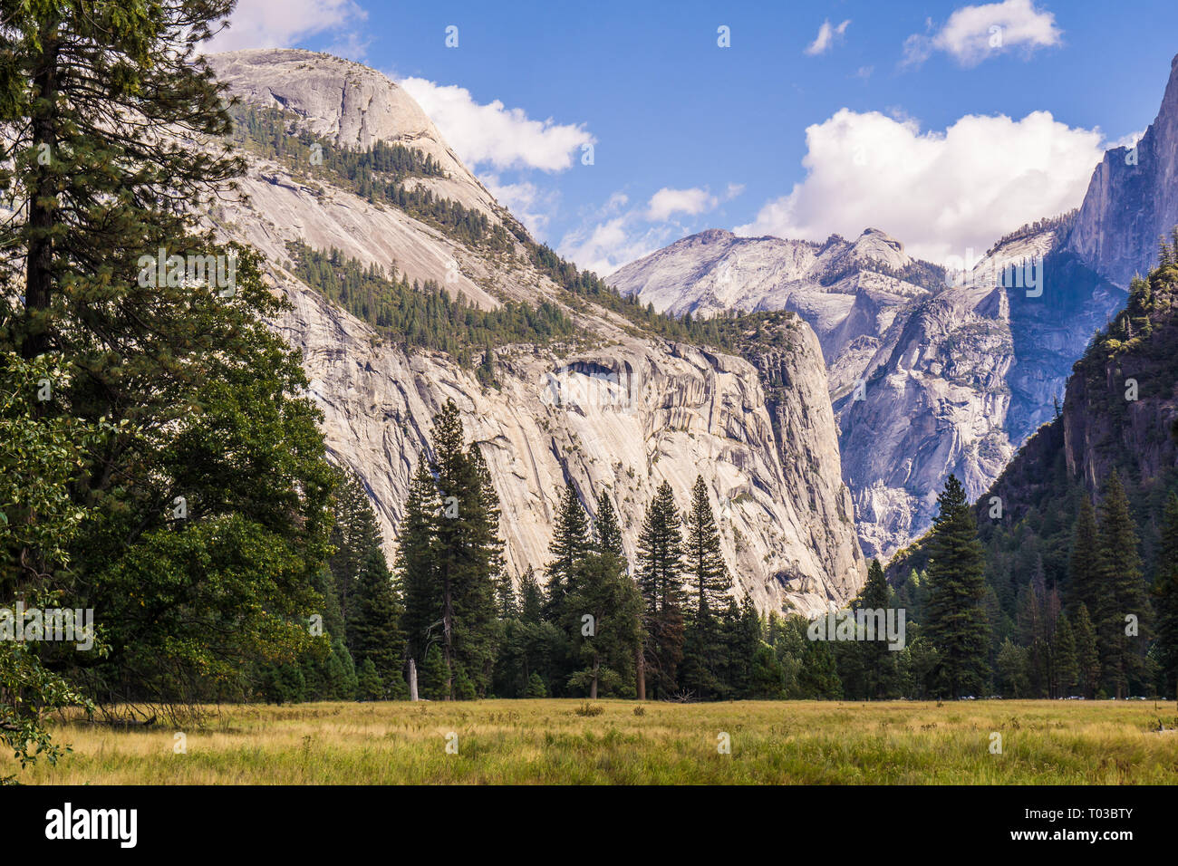 Parco Nazionale di Yosemite in California Foto Stock