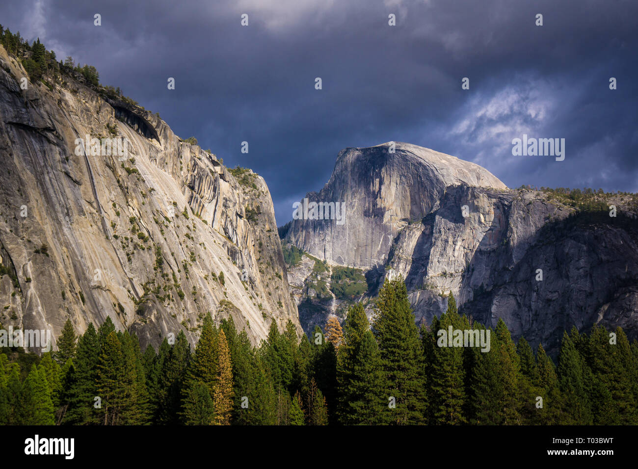 Parco Nazionale di Yosemite in California Foto Stock