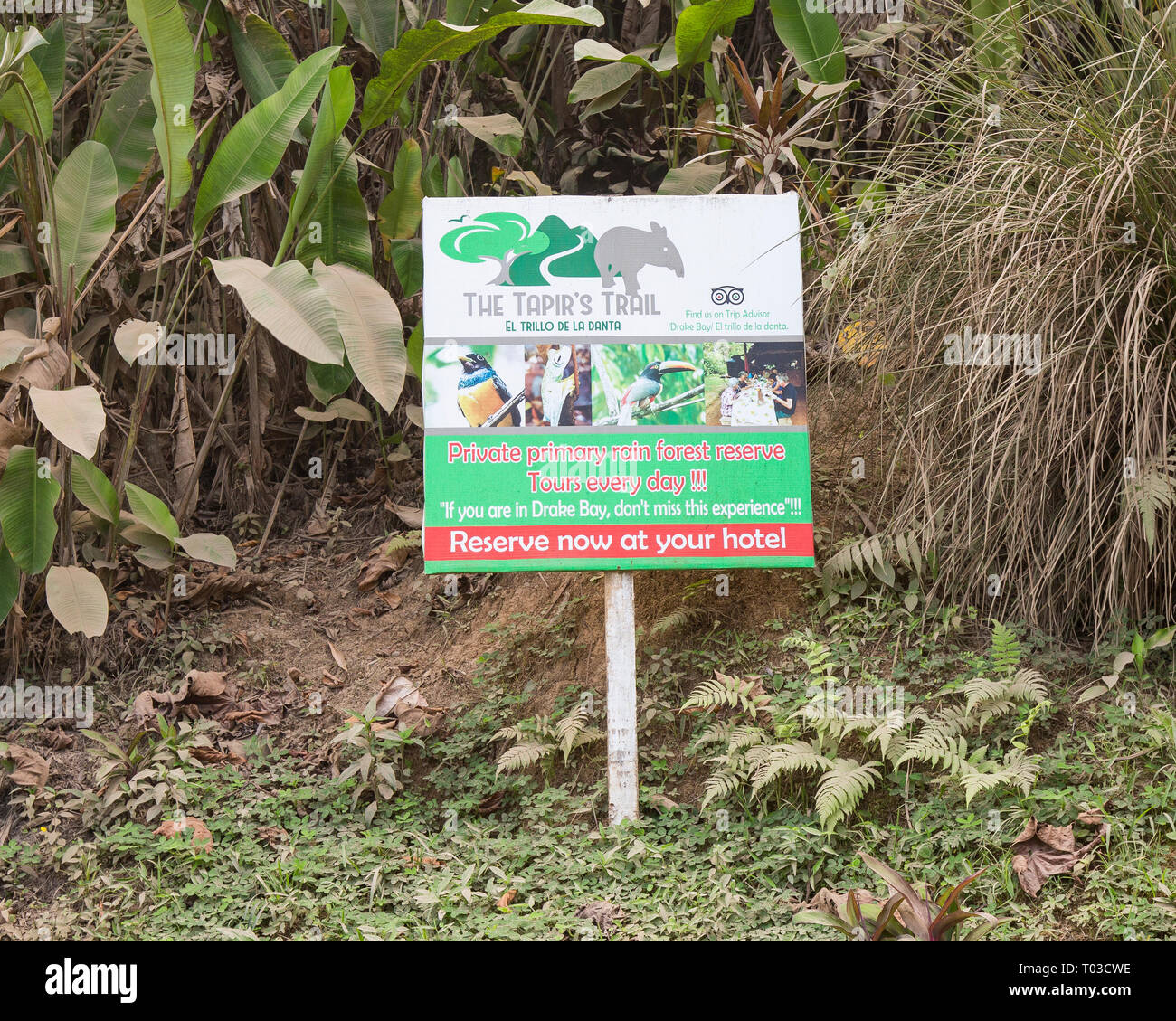 Drake Bay Costa Rica informazioni turistiche segno. Il tapiro Trail tour guidato. Foto Stock