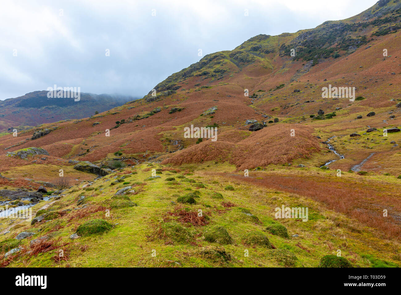 Little langdale paesaggio nel distretto del lago, accanto a Blea Tarn,Cumbria,Inghilterra Foto Stock