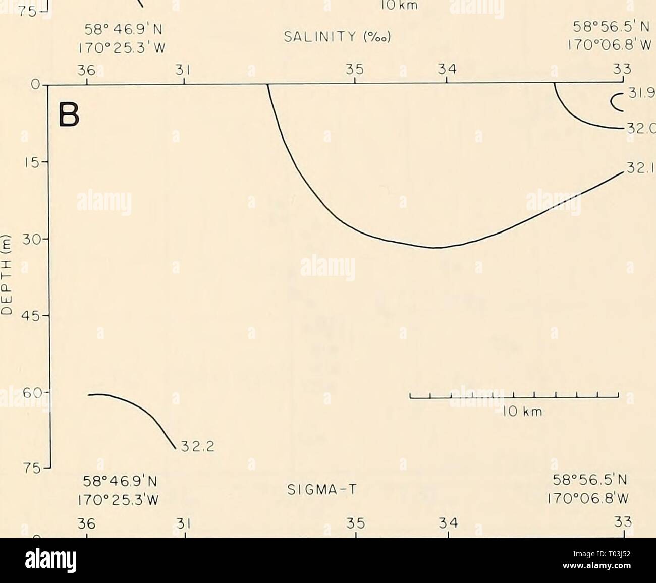 La parte orientale del Mare di Bering ripiano : oceanografia e risorse / a cura di Donald W. cofano e John A. Calder . easternberings00cofano Anno: 1981 -Â Â°-^ 58Â° 46,9 N 170= 253 W 36 31 58Â°469'N MI70Â°25,3"W 36 31 - c ^ '^25,8 â' 25&LT; - 25,9 10 km Figura 13-4. CTD di una sezione trasversale perpendicolare alla piastrella di ghiaccio che mostra il bordo della lente di acqua di disgelo tipico lungo il margine del ghiaccio. Il ghiaccio esisteva in acqua di circa â1.0 C e più fredde. La stazione CTD numeri corrispondono a quelli in Fig. 13-2. La discussione si forma ghiaccio in situ durante una tipica ice-anno in fine di autunno (novembre-dicembre) in Norton Suono, nel mare di Bering Foto Stock