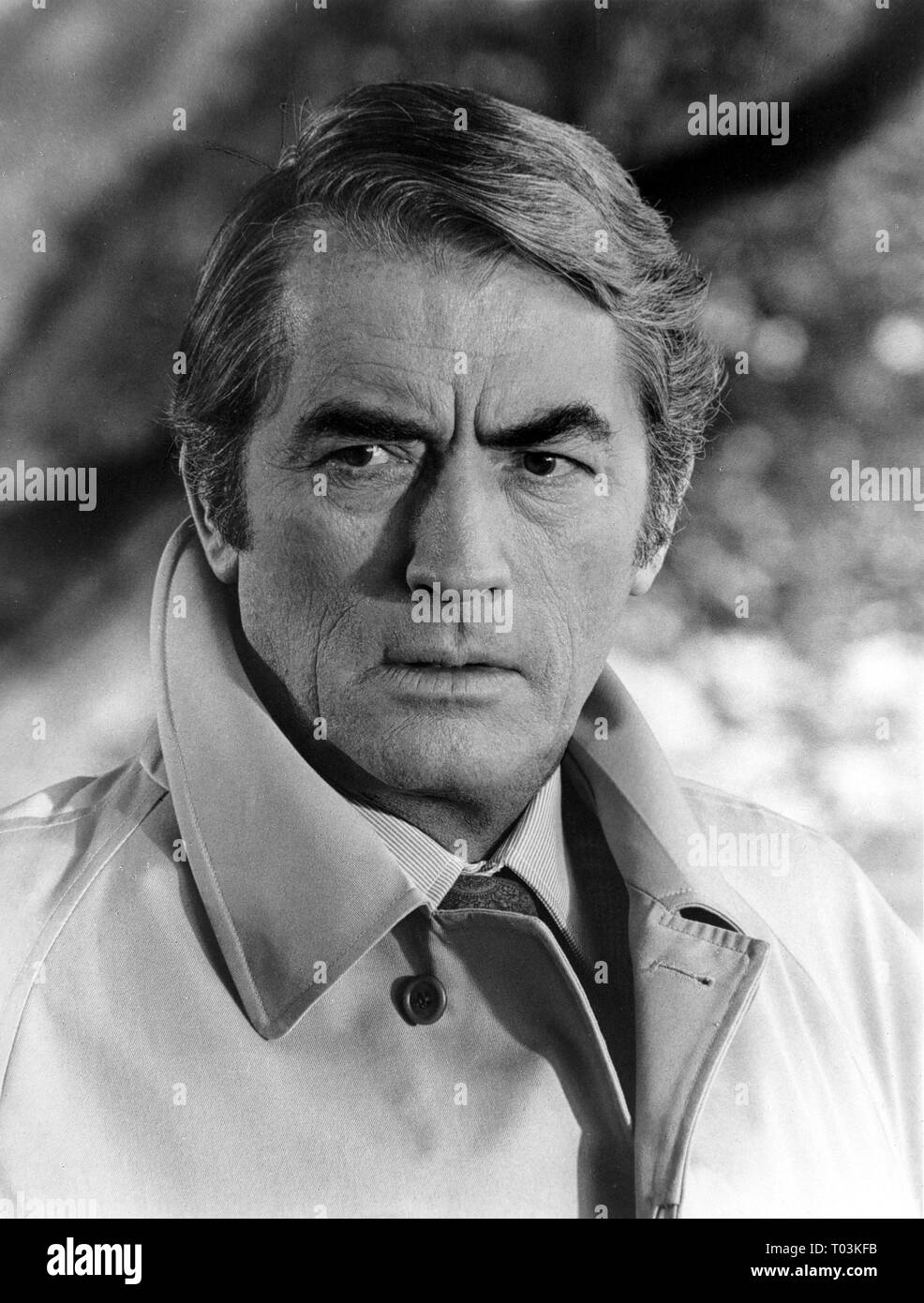 GREGORY PECK, il presagio, 1976 Foto Stock
